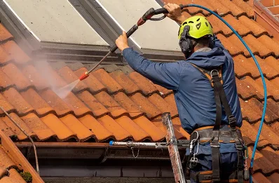 Démoussage et hydrofuge de toiture à Césarches
